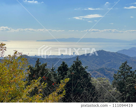 從石楠花山眺望神戶和淡路島 從石楠花山眺望神戶和淡路島 111094419