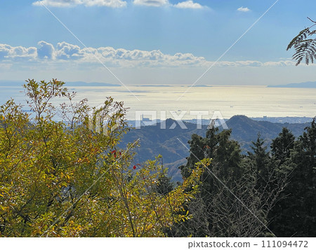 View of Osaka Bay, Kii Peninsula, Tomogashima, and Awajishima from Ishikusu Hanayama 111094472