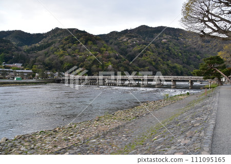 日本春天的京都，嵐山週邊的街道，旅遊景點渡月橋和桂川，盛開的櫻花和美麗的新綠 111095165