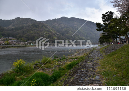 日本春天的京都，嵐山週邊的街道，旅遊景點渡月橋和桂川，盛開的櫻花和美麗的新綠 111095186