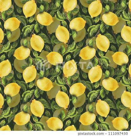 Lemons are yellow, juicy, ripe with green leaves, flower buds on the branches, whole and slices. Watercolor, hand drawn botanical illustration. Seamless pattern on a green background Lemons are yellow, juicy, ripe with green leaves, flower buds on the branches, whole and slices. Watercolor, hand drawn botanical illustration. Seamless pattern on a green background 111097430