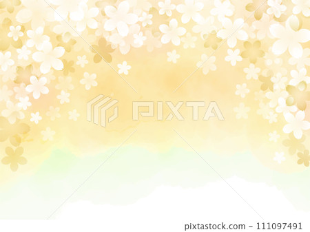 春天櫻花黃色圖像背景 111097491