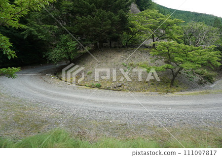 林道彎道 111097817