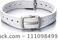 Secure Pet Collar Presentation 111098499