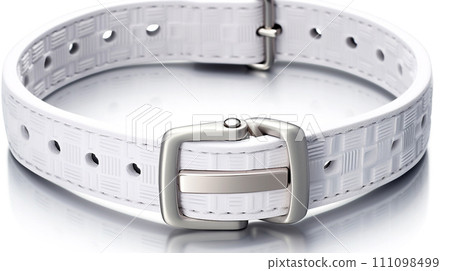 Secure Pet Collar Presentation Secure Pet Collar Presentation 111098499