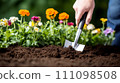 Landscaping Essentials 111098508