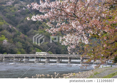 日本春天的京都，嵐山周圍的街道，旅遊景點渡月橋和桂川，美麗的櫻花和新鮮的綠色植物，過橋的公共巴士 111098807