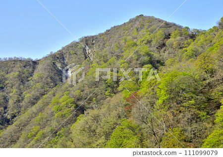 春天的丹澤山脈、日高東嶺、從十嶽山眺望新綠的塔野岳 春天的丹澤山脈、日高東嶺、從十嶽山眺望新綠的塔野岳 111099079