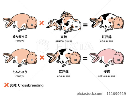 Goldfish_6 Goldfish_6 111099619