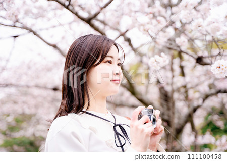 Cherry blossoms and a young woman Cherry blossoms and a young woman 111100458
