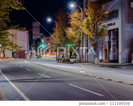 Utsunomiya Utsunomiya 111100550