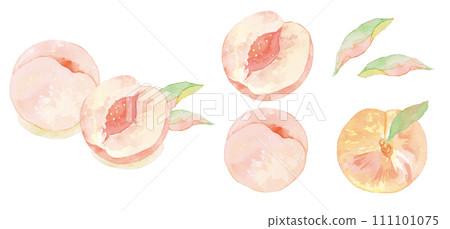 Juicy peach watercolor illustration set 111101075