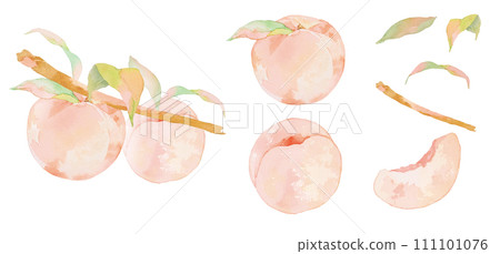 Illustration material set of delicious peaches drawn in watercolor Illustration material set of delicious peaches drawn in watercolor 111101076