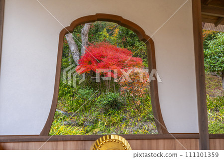 Autumn view from the fire window of the main hall of Nison-in, Kyoto 111101359