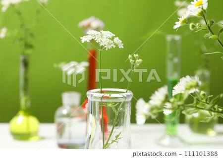 Test tubes and flowers, Herbal medicine, concept of herbal medicine research 111101388
