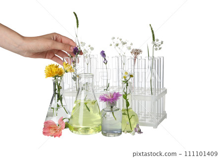 PNG, Test tubes with flowers, isolated on white background PNG, Test tubes with flowers, isolated on white background 111101409