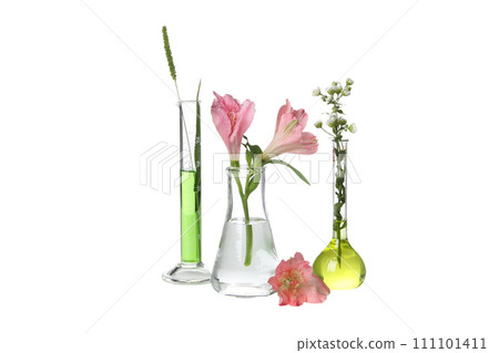 PNG, Test tubes with flowers, isolated on white background PNG, Test tubes with flowers, isolated on white background 111101411