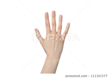 PNG,female hand, isolated on white background 111101577