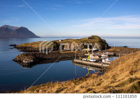 Port in a fjord, Bakkagerdi, Iceland 111101850