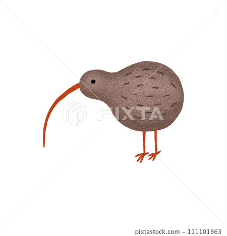 Illustration of a kiwi bird isolated 111101863