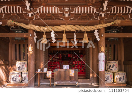 Spring Tsutsumiji Shrine, Minochi Hinamatsuri (Ichinomiya City, Aichi Prefecture) 111103704