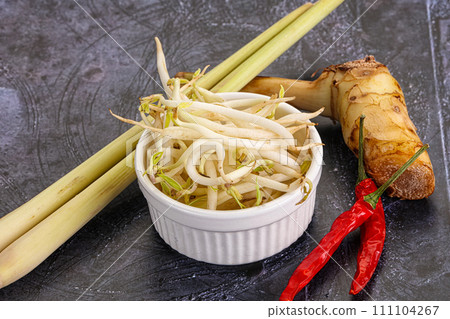 Asian cuisine Mash bean sprout 111104267