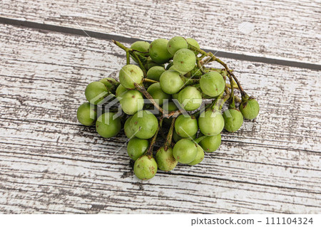 Raw ripe wild pea eggplant Raw ripe wild pea eggplant 111104324