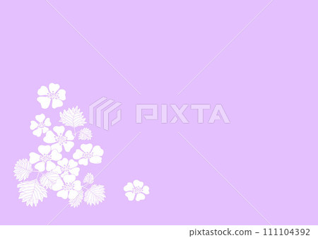 Wild strawberry, snake strawberry flower Wild strawberry, snake strawberry flower 111104392