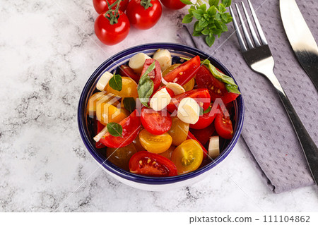 Italian Caprese salad with tomato and mozzarella Italian Caprese salad with tomato and mozzarella 111104862