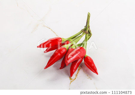 Spicy ripe red fresno pepper Spicy ripe red fresno pepper 111104873