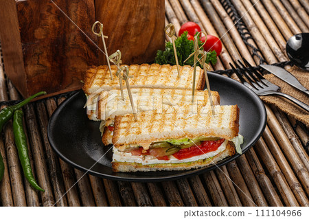 Grilled sandwich with cheese and tomato 111104966