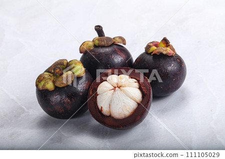 Sweet ripe juicy tropical Mangosteen 111105029