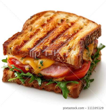 sandwich closeup on white background 111105129
