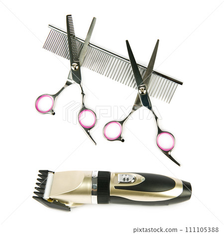 Set of tools for grooming pets isolated on a white. Collage. Set of tools for grooming pets isolated on a white. Collage. 111105388
