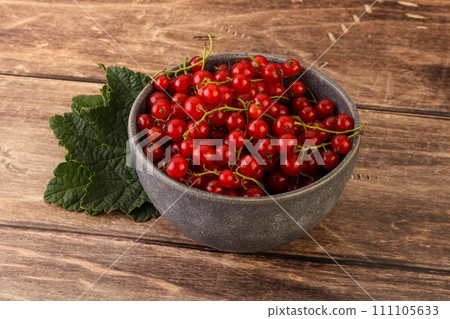Ripe sweet organic red currant heap Ripe sweet organic red currant heap 111105633