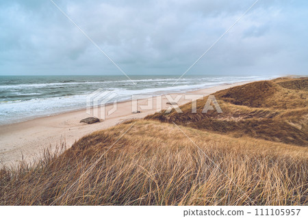 Cloudy winter day at danish coast Cloudy winter day at danish coast 111105957
