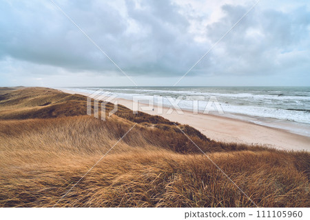 Overcast day at the Beach in Denmark Overcast day at the Beach in Denmark 111105960