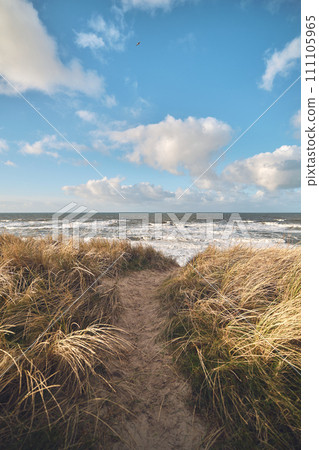 Path through the Dunes to the north sea coast 111105965