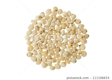 Sorghum seeds isolated on white background. Top view. Flat lay. Sorghum seeds isolated on white background. Top view. Flat lay. 111106654