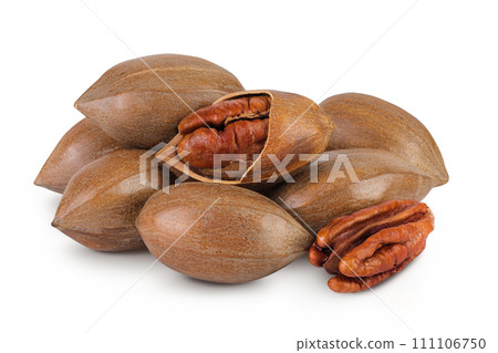 pecan nut isolated on white background with full depth of field 111106750