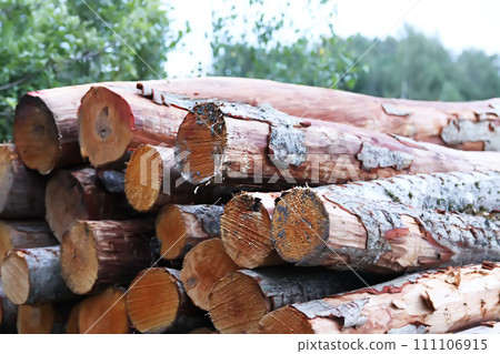 Chopped firewood in the countryside. Chopped firewood in the countryside. 111106915