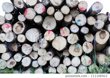 Chopped firewood in the countryside. 111106922