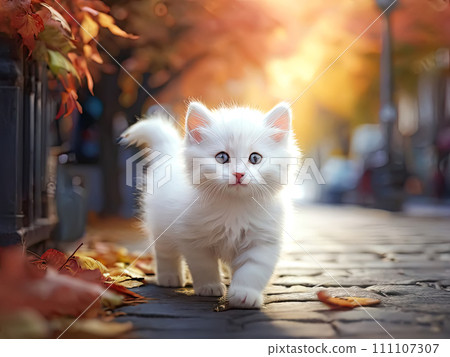 Adorable kitten on the urban street in fall season. Art painting of the pet. 111107307