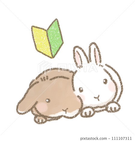 Illustration of a rabbit with a beginner mark Illustration of a rabbit with a beginner mark 111107311