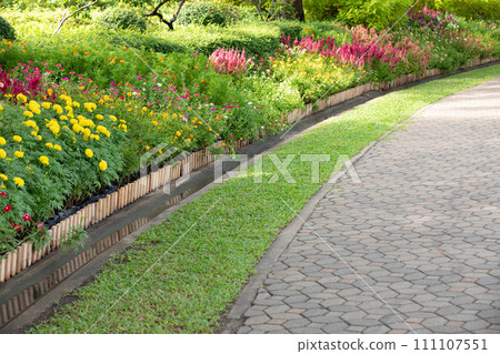 Landscape and walkway in the park 111107551