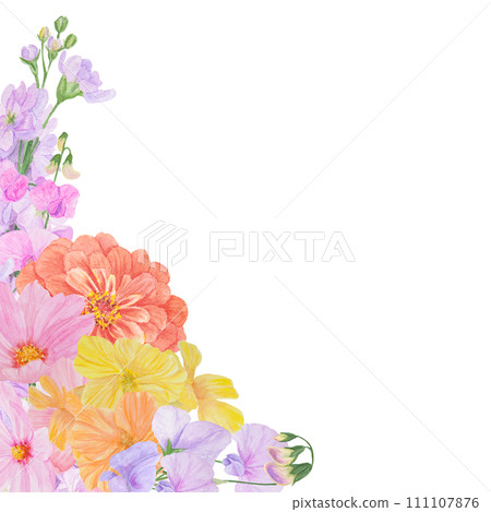 Watercolor botanical colorful frame of summer and autumn flowers: orange dahlia, lathyrus, gillyflower, yellow nasturtium, pink cosmos. Good for wedding print products, paper, invitations, greetings Watercolor botanical colorful frame of summer and autumn flowers: orange dahlia, lathyrus, gillyflower, yellow nasturtium, pink cosmos. Good for wedding print products, paper, invitations, greetings 111107876