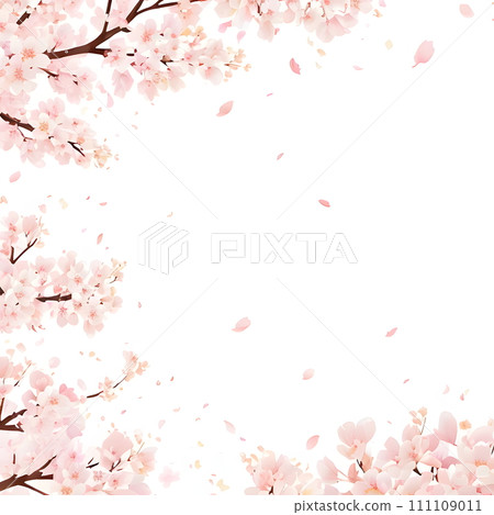 櫻花花瓣框架 櫻花花瓣框架 111109011