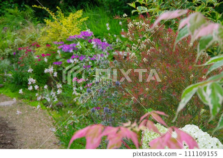 Garden image spring 111109155