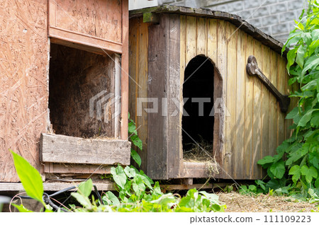 Wooden doghouse near stone wall. Dog kennels at the shelter. 111109223