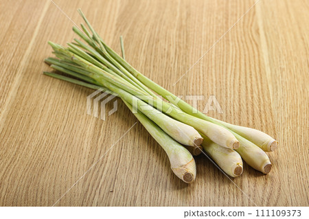 Lemongrass - Asian aroma plant for cooking 111109373
